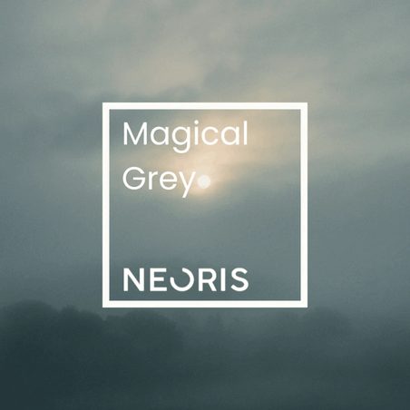 Teinte Magical Grey, visuel 2 sur 2