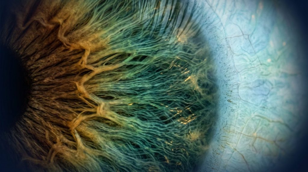 Color de ojos en el mundo – Lo que dice la genética